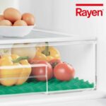 اسفنجة الثلاجة من رايان