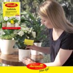 ⁦مصيدة القوارير الصفراء من إيروكسون⁩ - الصورة ⁦5⁩