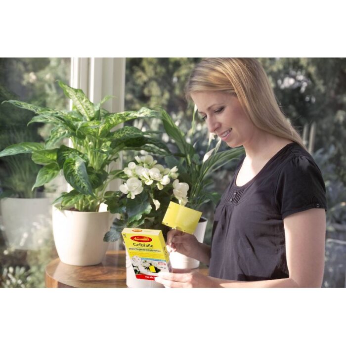 ⁦مصيدة القوارير الصفراء من إيروكسون⁩ - الصورة ⁦6⁩