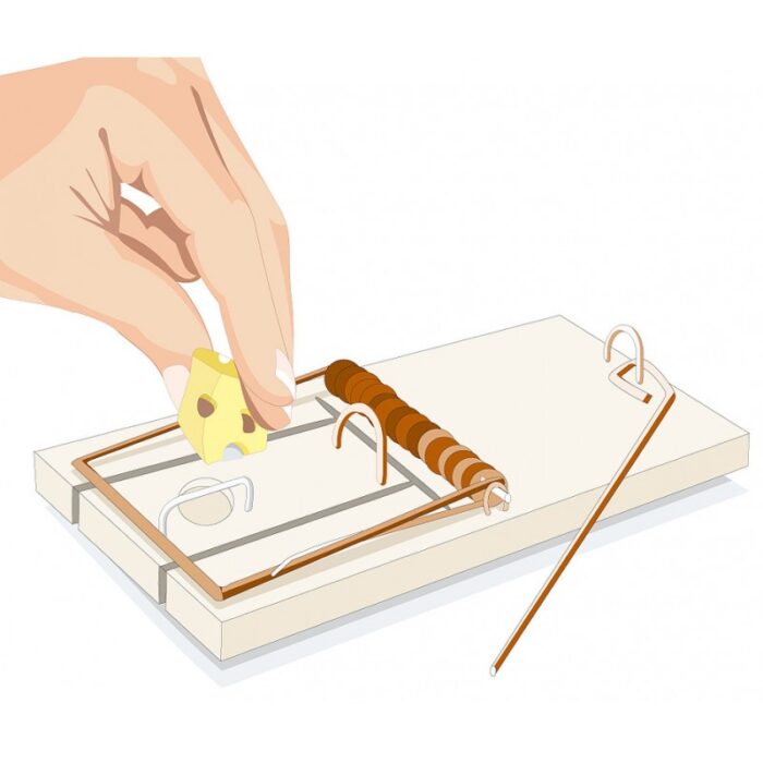 ⁦مصيدة فئران من إيروكسون⁩ - الصورة ⁦2⁩