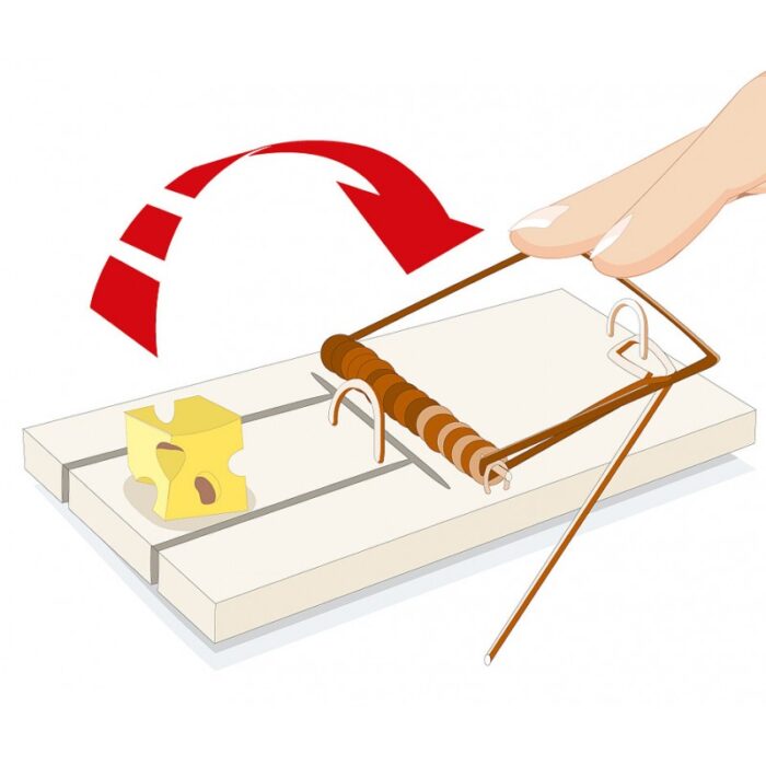 ⁦مصيدة فئران من إيروكسون⁩ - الصورة ⁦3⁩