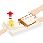 ⁦مصيدة فئران من إيروكسون⁩ - الصورة ⁦4⁩