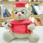 دبدوب تخرج طول 32 سم