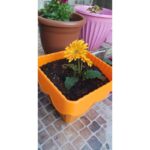 ⁦قوار زراعة بلاستيكي كبير⁩ - الصورة ⁦2⁩