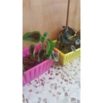 ⁦قوار زراعة بلاستيكي مستطيل⁩ - الصورة ⁦2⁩