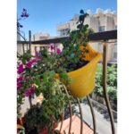 ⁦قوار تعليق 15*10 سم⁩ - الصورة ⁦2⁩