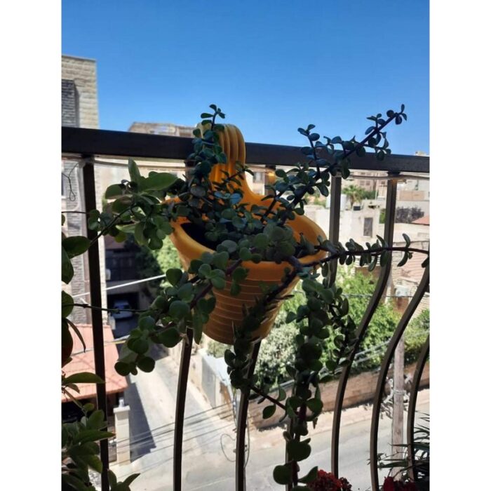 ⁦قوار تعليق 15*10 سم⁩ - الصورة ⁦3⁩