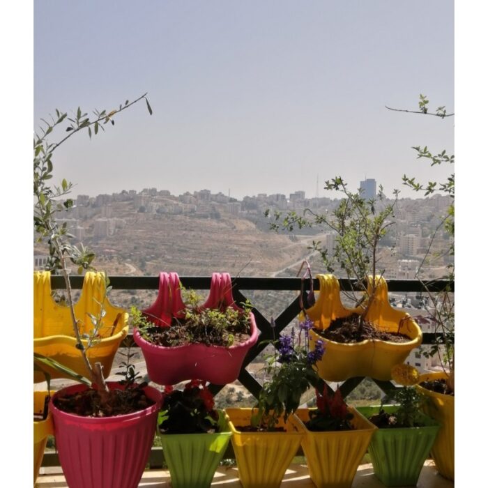 ⁦قوار ورد تعليق 20*15 سم - حسب اللون المتوفر في المخازن⁩ - الصورة ⁦4⁩