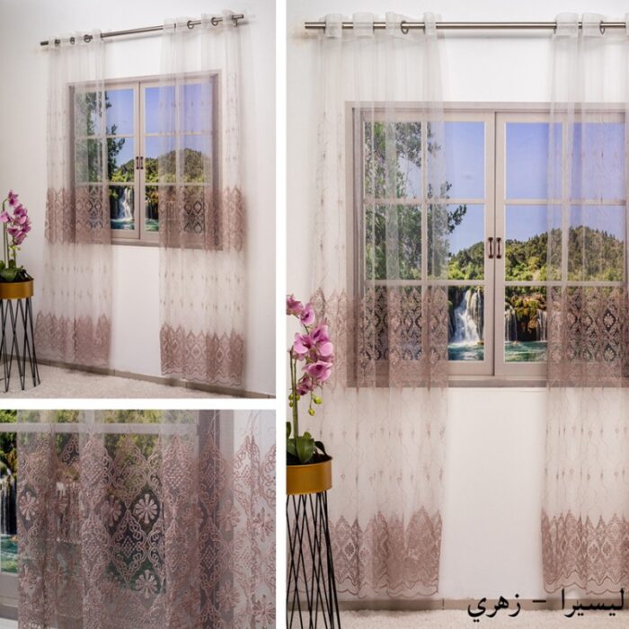 ⁦برداي اليسيرا زهري⁩ - الصورة ⁦4⁩