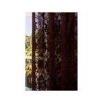 ⁦برداي جون كوفي⁩ - الصورة ⁦4⁩