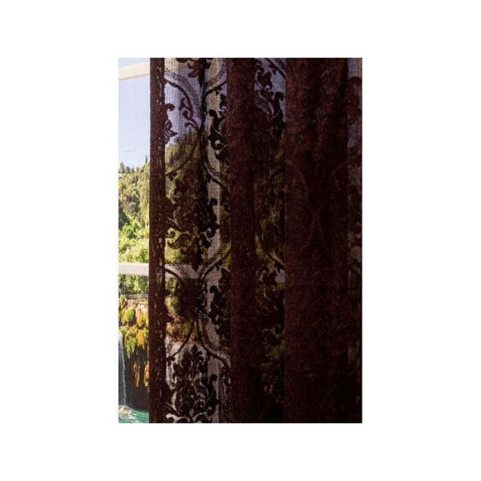 ⁦برداي جون كوفي⁩ - الصورة ⁦4⁩