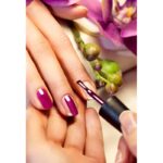 ⁦جابريني مناكير باسيفيك 19⁩ - الصورة ⁦2⁩