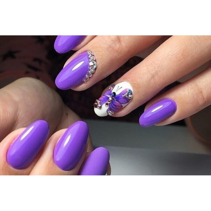 ⁦جابريني مناكير باسيفيك 31⁩ - الصورة ⁦2⁩