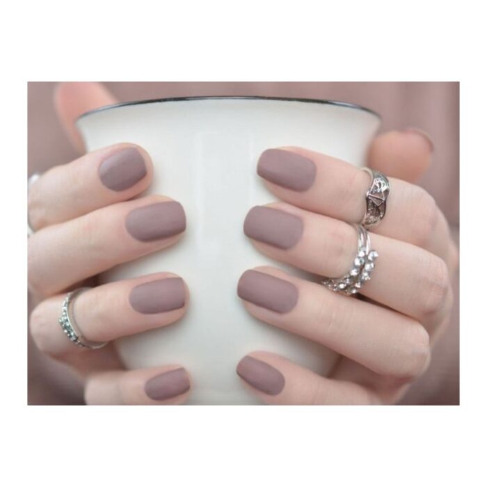 ⁦جابريني مناكير باسيفيك 38⁩ - الصورة ⁦2⁩