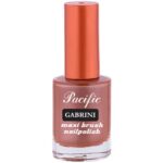 جابريني مناكير باسيفيك 67