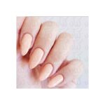 ⁦جابريني مناكير باسيفيك 60⁩ - الصورة ⁦2⁩