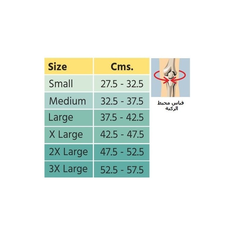 ⁦مشد الركبة بحلقة مطاطية Flamingo⁩ - الصورة ⁦1⁩