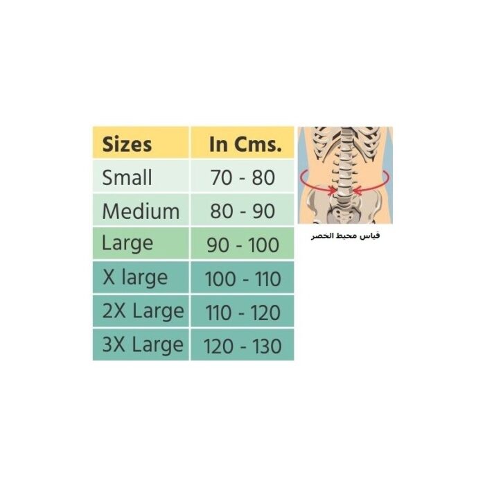 ⁦حزام الظهر العجزي القطني Flamingo⁩ - الصورة ⁦2⁩