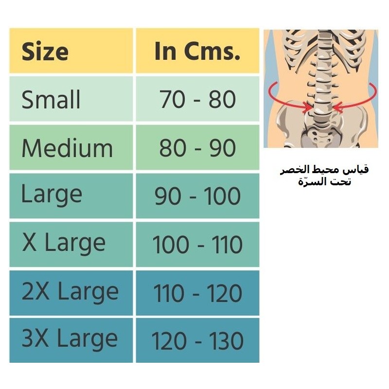 ⁦حزام قطني عجزي Flamingo⁩ - الصورة ⁦1⁩