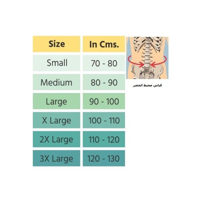 ⁦مشد تشديب الخصر Flamingo⁩ - الصورة ⁦2⁩