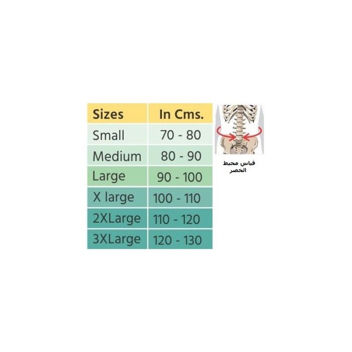 ⁦حزام البطن (25 سم عرض) Flamingo⁩ - الصورة ⁦1⁩