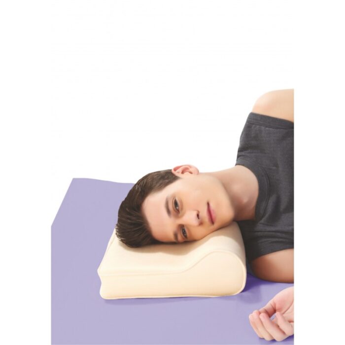 1027030_67db35a0abda2 Flamingo Flamingo Cervical Pillow One Size - الصورة 1