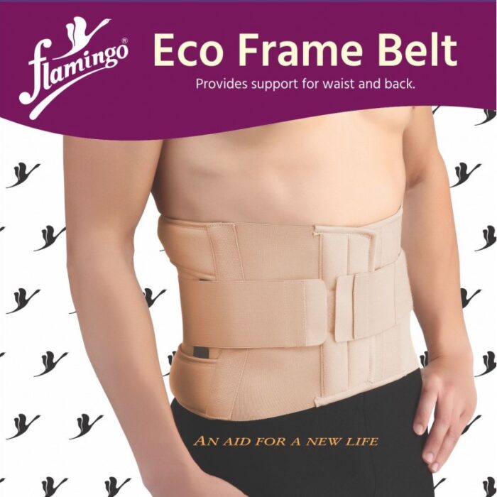 ⁦Flamingo Eco Frame Belt⁩ - الصورة ⁦2⁩