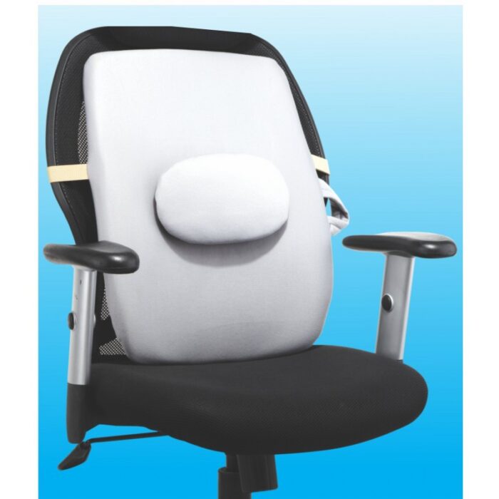 1027120_67db3616de540 مسند ظهر طبي للكراسي - Flamingo Flamingo Back Rest- Large - الصورة 1