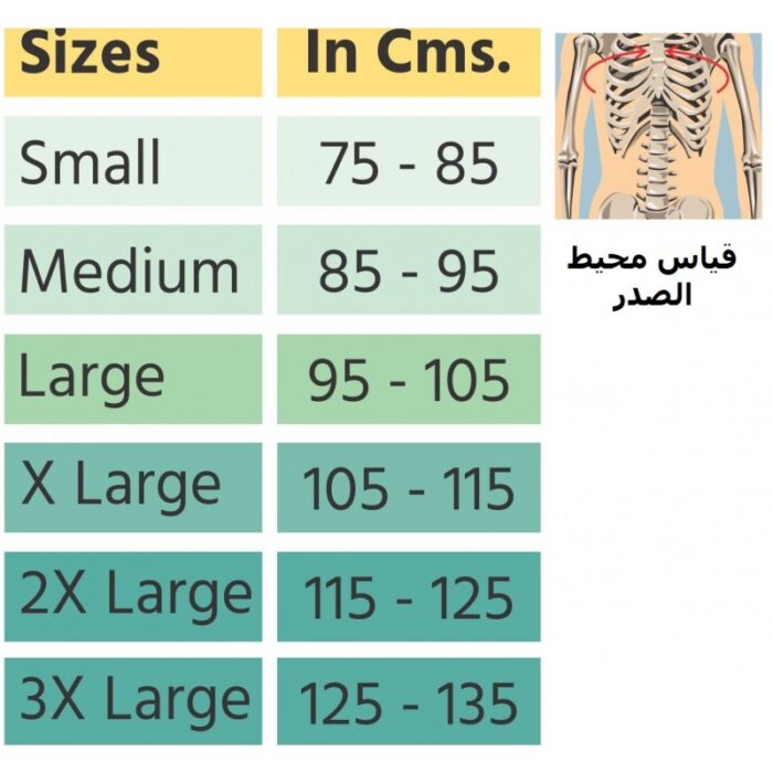 ⁦Flamingo Compact Spinal Brace⁩ - الصورة ⁦3⁩