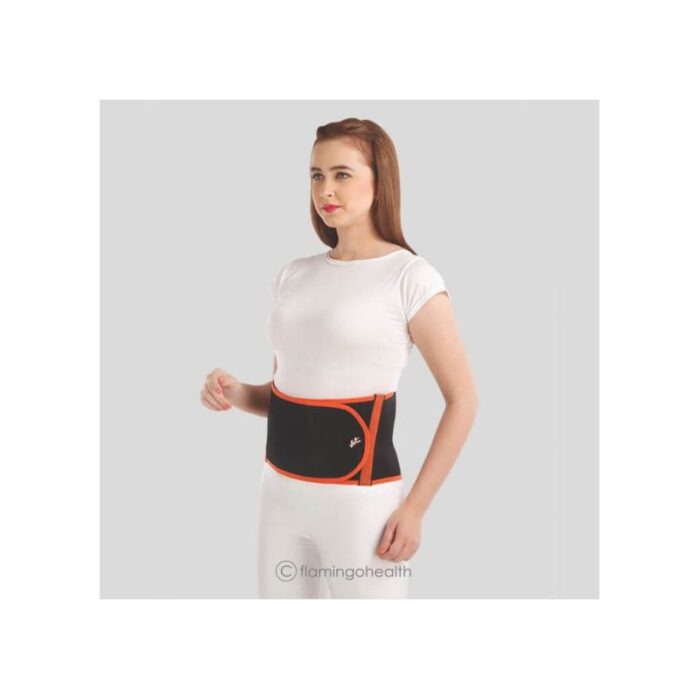 1027257_67db36947ac37 Flamingo Flamingo Back Comfort Belt - الصورة 1