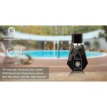 ⁦لويس كاردن عطر رجالي GEMZ 75 ML⁩ - الصورة ⁦4⁩