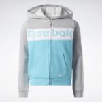 Reebok BIG INTL REEBOK COLORBLOCK HOO