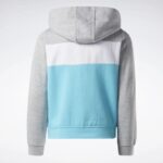 ⁦Reebok BIG INTL REEBOK COLORBLOCK HOO⁩ - الصورة ⁦2⁩