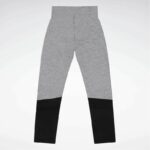 Reebok BIG INTL REEBOK STRIPE MESH LE