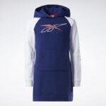 Reebok BIG INTL REEBOK CLASSIC HOODIE