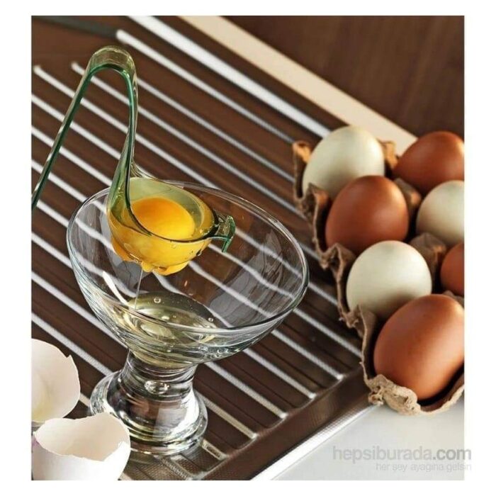 ⁦حامل بيض عدد 2⁩ - الصورة ⁦2⁩