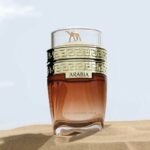 ⁦Emper Le Chameau Arabia 100ml EDT For Men⁩ - الصورة ⁦6⁩