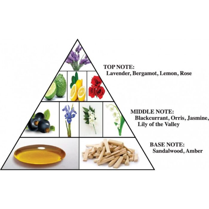 ⁦عطر حرمين دايزل من الحرمين للنساء سعة 90 مل | Dazzle Al Haramain Perfumes for Women 90 ML⁩ - الصورة ⁦3⁩