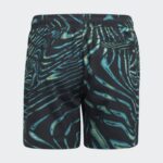 ⁦adidas Kids' Souleaf Sho Y Swimsuit Short- شورت اديداس سوليف شو واي للأطفال لون أسود⁩ - الصورة ⁦3⁩