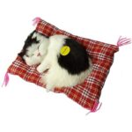 ⁦قطة مع فرشة حجم صغير⁩ - الصورة ⁦2⁩