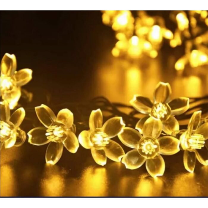 ⁦حبل الورد بالطاقة الشمسية⁩ - الصورة ⁦3⁩