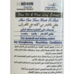 Care Code Dandeen Concentrate Shampoo دادندين كونسنتريت شامبو ضد القشرة بزيت الزيتون و خلاصة اوراقه 275 مل
