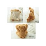 ⁦لعبة قماش الدبدوب الناطق مع منديل من PEEKABOO⁩ - الصورة ⁦5⁩