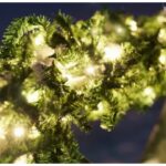 ⁦حبل شجرة زينة⁩ - الصورة ⁦5⁩