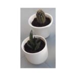 ⁦كاسة/سوسرية بورسلان 8*8*6.5⁩ - الصورة ⁦4⁩