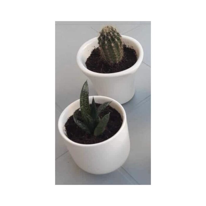 ⁦كاسة/سوسرية بورسلان 8*8*6.5⁩ - الصورة ⁦4⁩