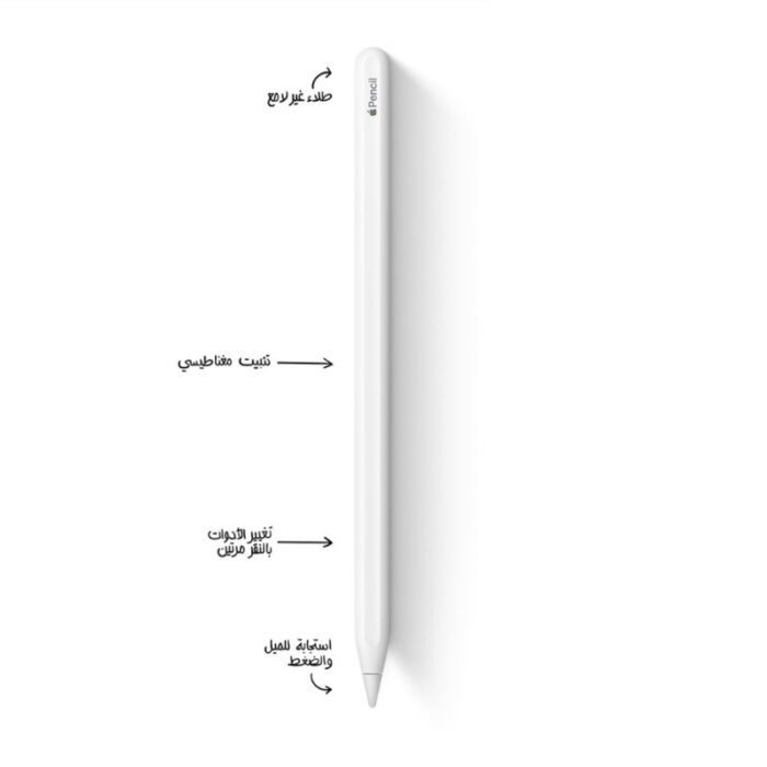 ⁦قلم ابل (الجيل الثاني) مع كفالة لمدة عام - Apple Pencil 2nd Gen⁩ - الصورة ⁦2⁩