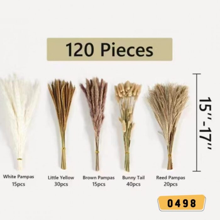 10321558_67db75a9b0bef ورد سنابل و ريش ديكور 120 قطعه 0498 - الصورة 1