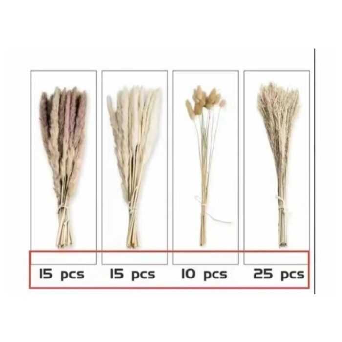 10321565_67db75b009bf3 ورد سنابل و ريش ديكور 65 قطعه 0499 - الصورة 1