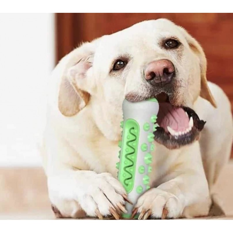 ⁦عظمة لتنظيف اسنان الحيوانات الأليفة (الكلاب والقطط)⁩ - الصورة ⁦1⁩